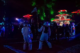 Kevin at Shambhala music festival