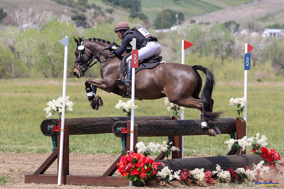 Eventing Clinic with Sabrina Glaser - June 18-19
