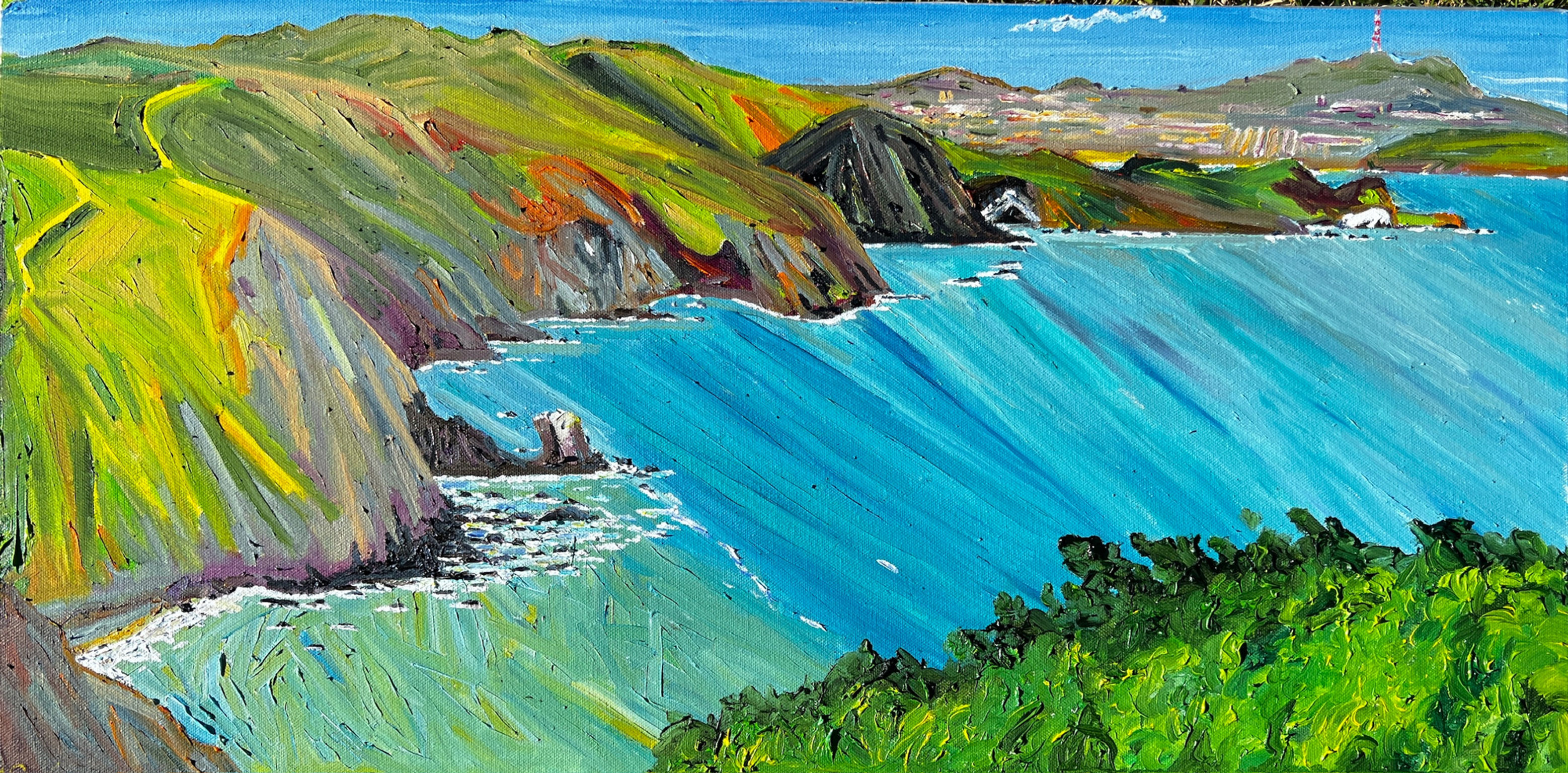 Overlook above Muir Beach