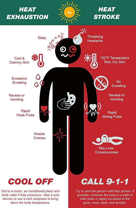 Graphic illustrating the differences between the signs of heat exhaustion and those of heat stroke, and what to immediately do in each case