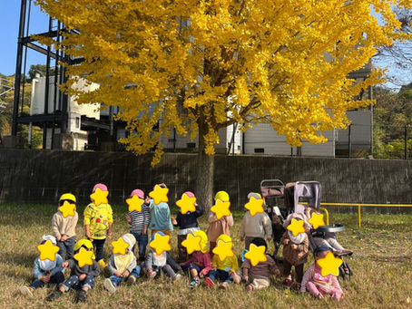 ☆2021年11月16日☆秋の公園あそび~福岡県飯塚市川津 飯塚川津ママー保育園~
