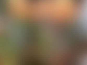 お野菜収穫🍅✨~福岡県飯塚市川津 飯塚川津ママー保育園~