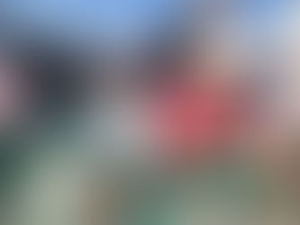 0・1歳さんお外あそび🌞🏖️《福岡県飯塚市 飯塚ママー保育園 365日開園》