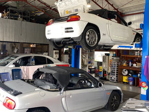 ドナーってありがたい。