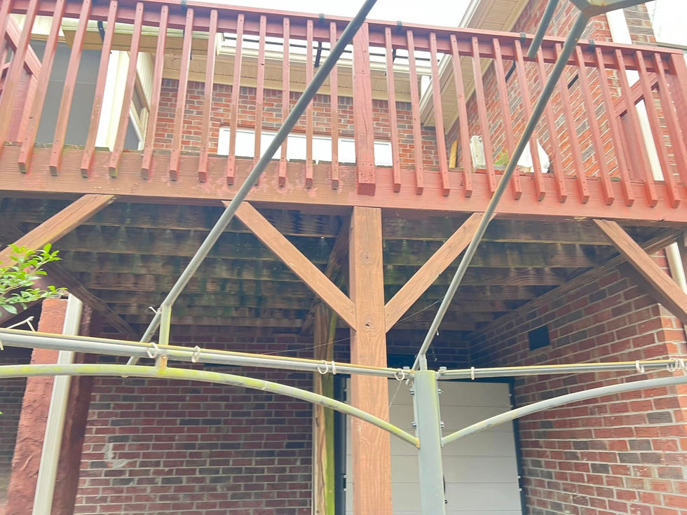 445601569_440132908770343_6419341430600349821_n