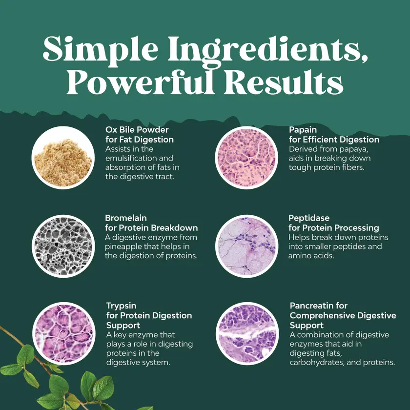 Thumbnail: Ox Bile Complex 90 Capsules