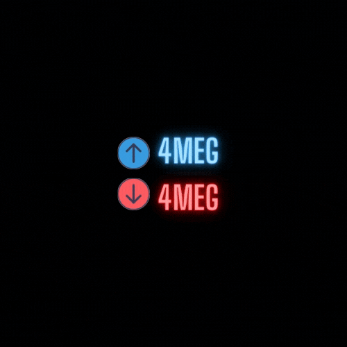 4Meg (1).gif
