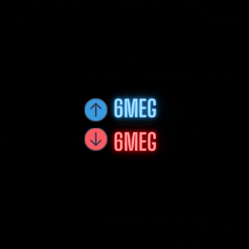 4Meg (2).gif