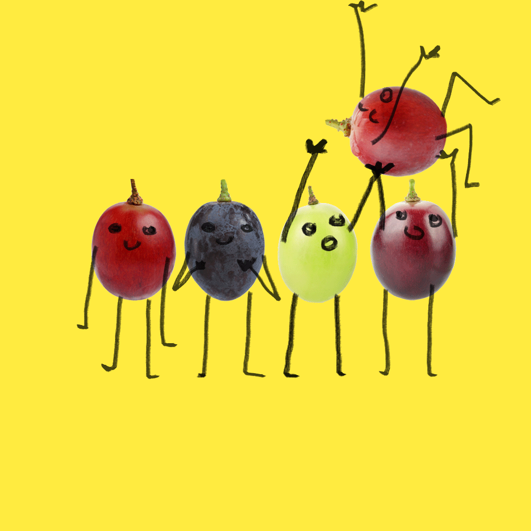 Nutribullet Tess Bratkowski