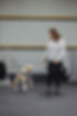Trained For You.jpg