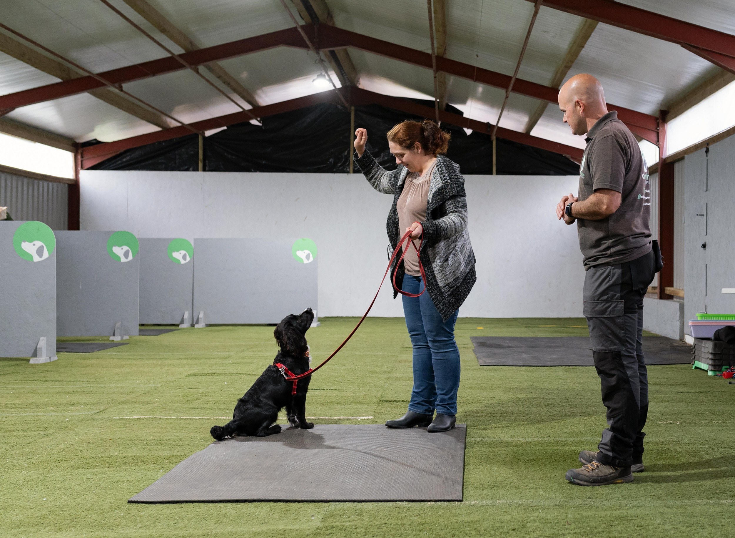 Dog Training for beginners in Herefordshire