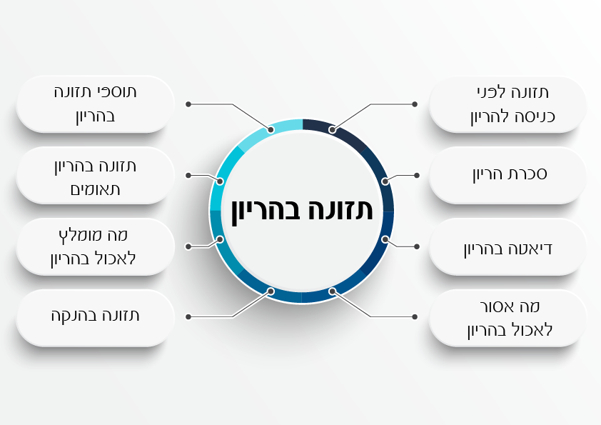 כתיבת תוכן ל SEO
