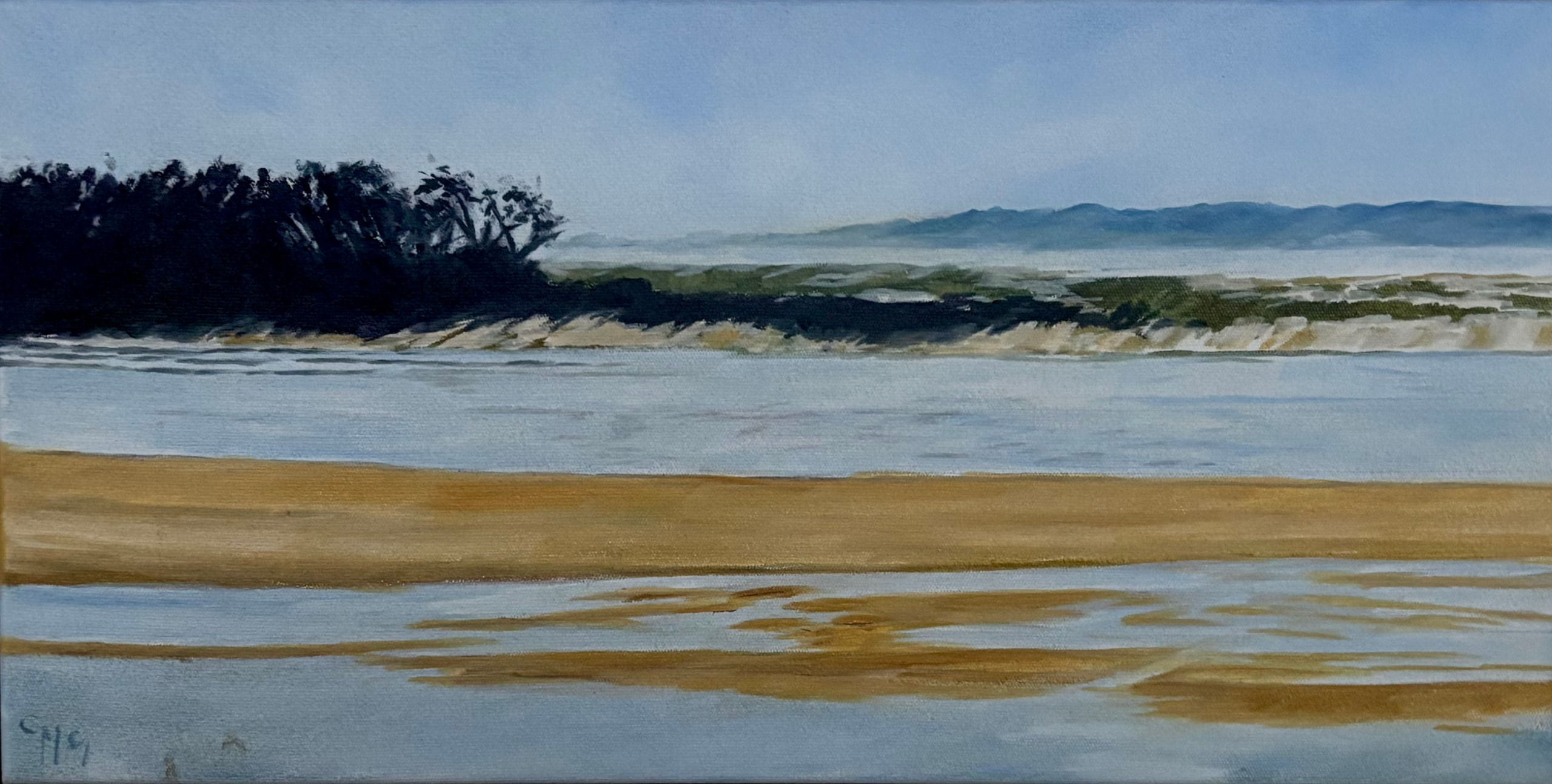 Carolynne McIntyre