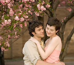 Cherry Blossom Love