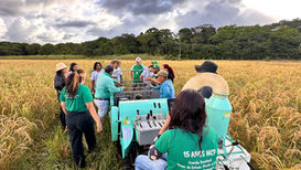 Intercâmbio fortalece a agricultura familiar camponesa e promove formação sobre tecnologias sociais e sementes crioulas em Santa Luzia do Pará (PA)