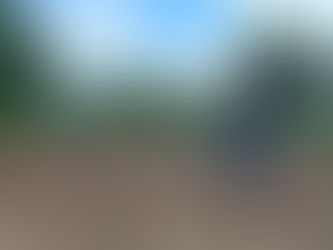 No campo da resistência, entre sementes e luta: mutirão fortalece a agroecologia e implementa corredor agroecológico no Assentamento Moacyr Wanderley, no estado de Sergipe.