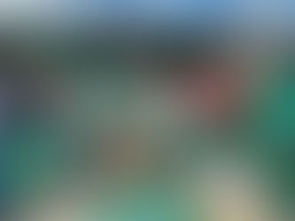 44,4 toneladas de Sementes Crioulas para Paragominas/PA