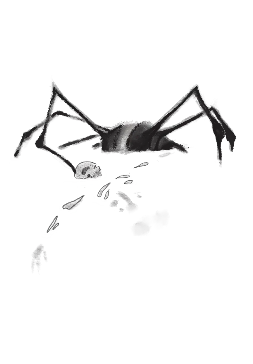 2 spider body.webp