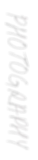 photography.webp