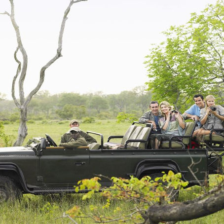 A group of tourists on safari taking a photo of a leopard. 