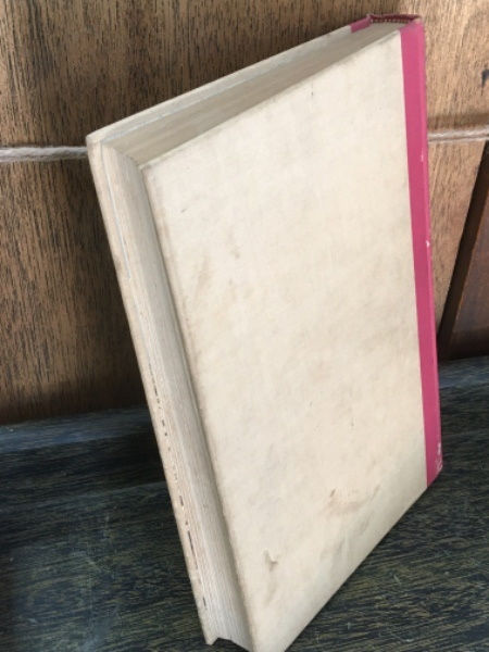 サムネイル： Alice In Wonderland,Through the Looking Glass,john tenniel,鏡の国のアリス,ジョン・テニエル,古書,古本,千葉,佐倉,京成佐倉,アベイユ