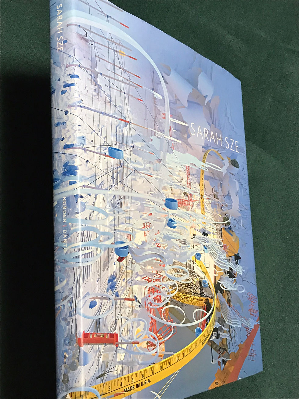 Sarah Sze, Linda Norden,Arthur C. Danto,0810993023,9780810993020,古書,古本,千葉,佐倉,アベイユ
