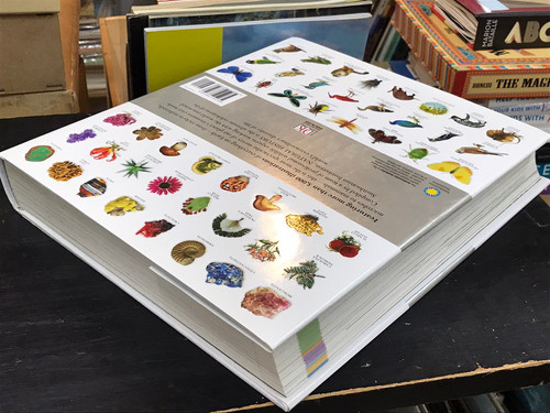 洋書 The natural history book 81ur5E18lbL._UF350,350_QL50_.jpg