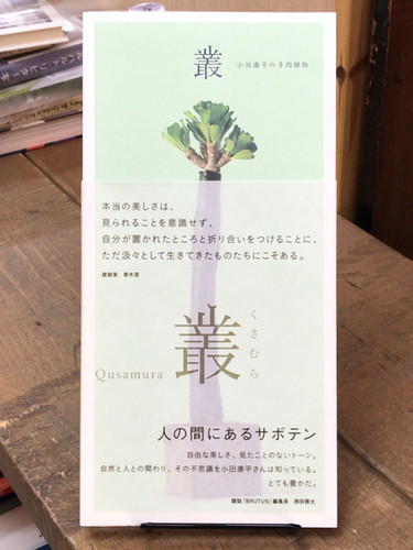 叢 “Qusamura” 小田康平の多肉植物 | abeille-books