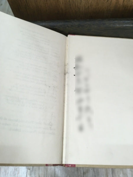 サムネイル： Alice In Wonderland,Through the Looking Glass,john tenniel,鏡の国のアリス,ジョン・テニエル,古書,古本,千葉,佐倉,京成佐倉,アベイユ