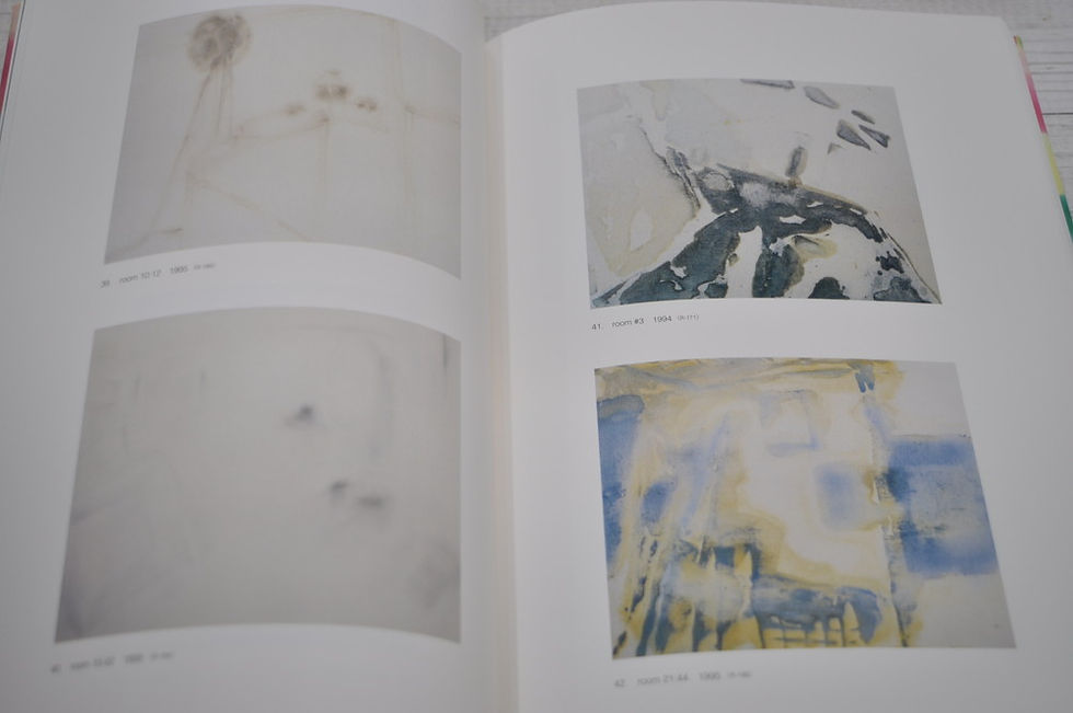 サムネイル： 丸山直文全作品集,目黒区美術館,古書,古本,千葉,佐倉,京成佐倉,アベイユブックス