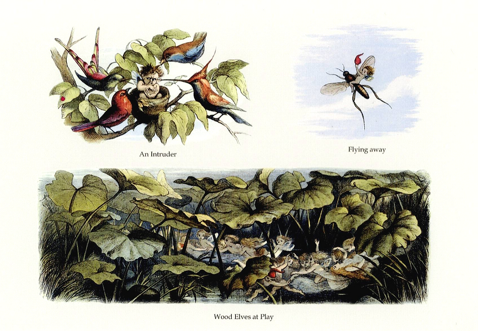 リチャード・ドイル,Richard Doyle,妖精の国で,In Fairyland,洋書絵本,古書,古本,千葉,佐倉,アベイユ