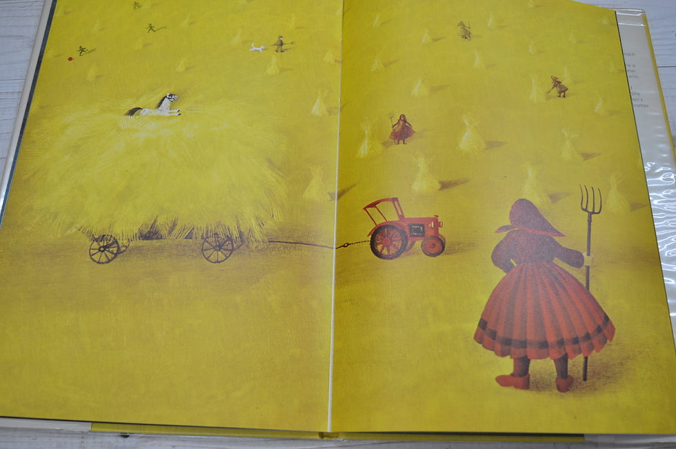 サムネイル： Florian and Tractor Max,ビネッテシュレーダー,Binette Schroeder,0200729349,9780200729345,洋書絵本,古書,古本,千葉,佐倉,,京成佐倉,アベイユブックス