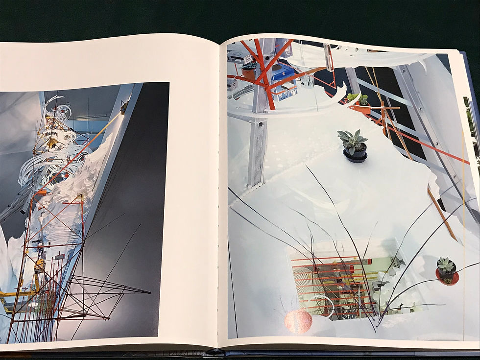 サムネイル： Sarah Sze, Linda Norden,Arthur C. Danto,0810993023,9780810993020,古書,古本,千葉,佐倉,アベイユ