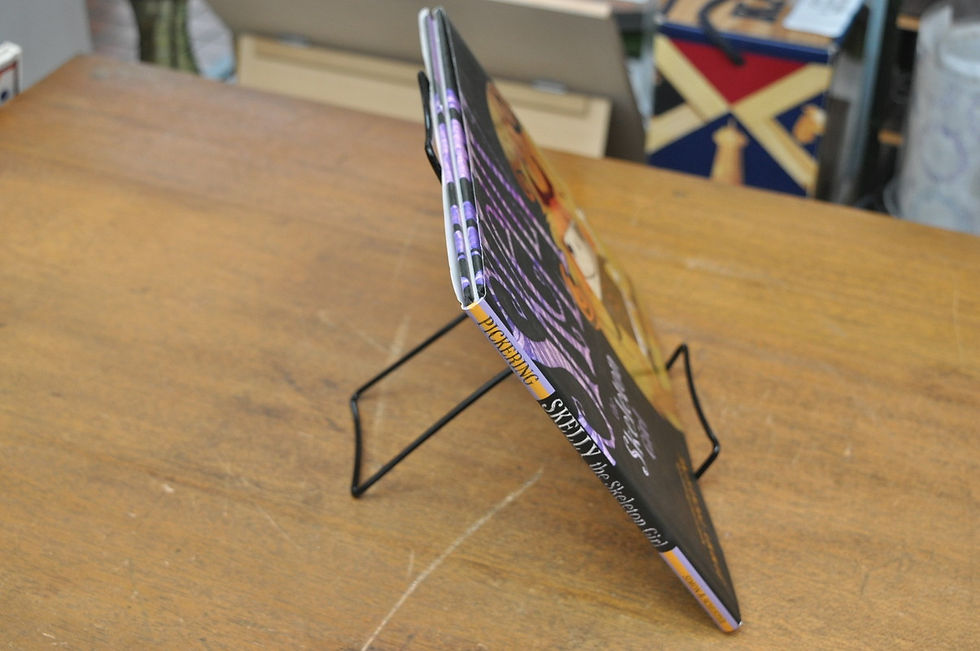 Skelly the Skeleton Girl,Jimmy Pickering,スケルトンガール,スケリー,洋書絵本,ハロウィン,絵本,童話,古書,古本,千葉,佐倉,アベイユブックス