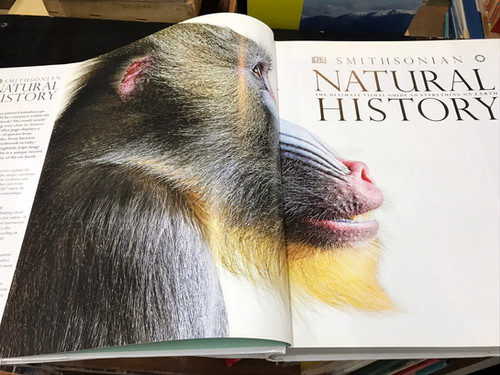 Natural History / The Ultimate Visual Guide to Everything on