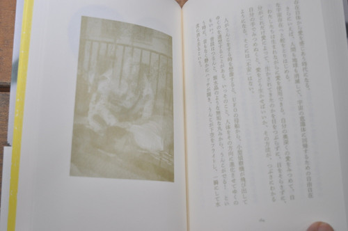 プリミ恥部 あいのことば 白井剛史 エムエム・ブックス | abeille-books