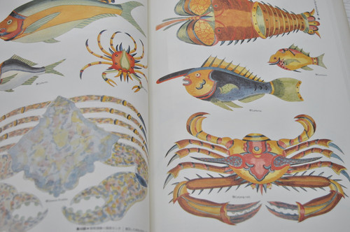 極楽の魚たち (ファンタスティック12) 荒俣 宏 (著) リブロポート