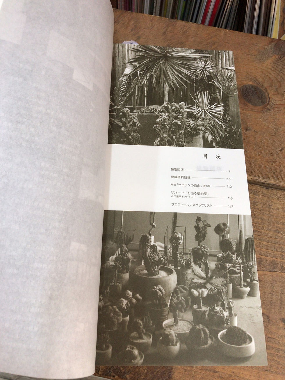 サムネイル： 叢,Qusamura,小田康平の多肉植物,4773816023,9784773816020,古書,古本,千葉,佐倉,京成佐倉,アベイユ