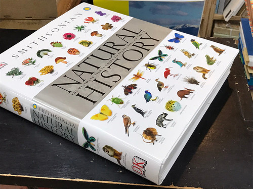 Natural History / The Ultimate Visual Guide to Everything on