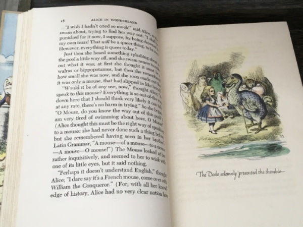 サムネイル： Alice In Wonderland,Through the Looking Glass,john tenniel,鏡の国のアリス,ジョン・テニエル,古書,古本,千葉,佐倉,京成佐倉,アベイユ