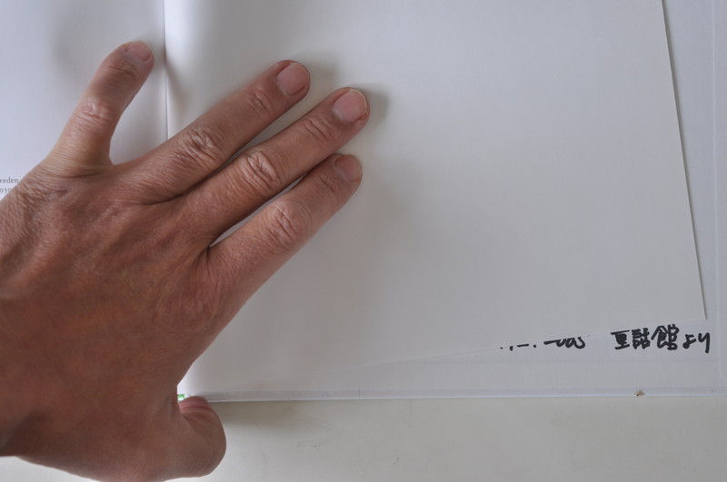サムネイル： どんぐりぼうやのぼうけん,ベスコフ,絵本,海外,古書,古本,佐倉,アベイユ