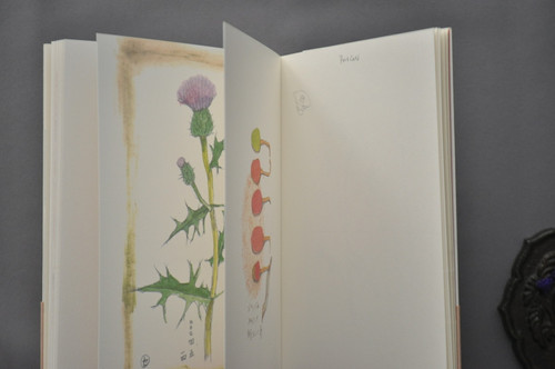 セツローさんのスケッチブック(POST CARD BOOK) 小野セツロー ラトルズ