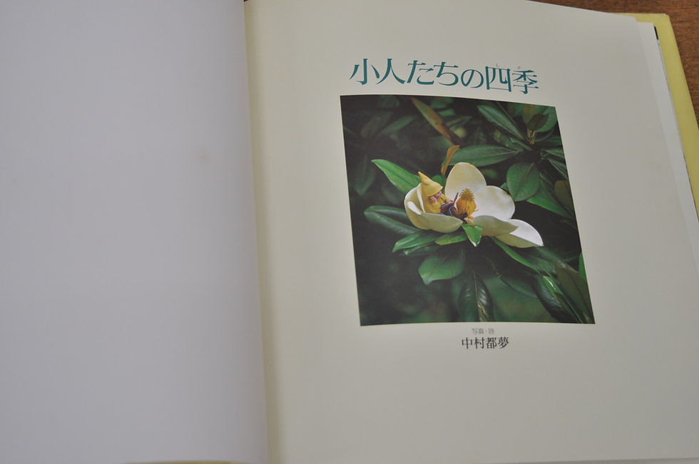 サムネイル： 小人たちの歌がきこえる,中村都夢,偕成社,絵本,古書,古本,千葉,佐倉,,京成佐倉,アベイユブックス