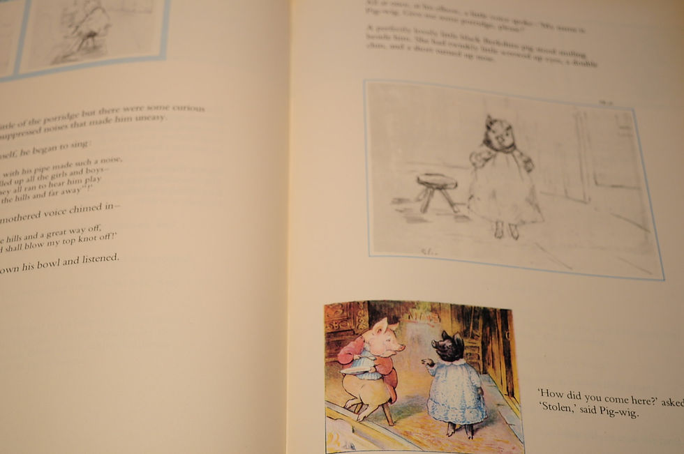 サムネイル： The Tale of the Tales,The Beatrix Potter Ballet,Rumer Godden,古書,古本,千葉,佐倉,京成佐倉,アベイユ