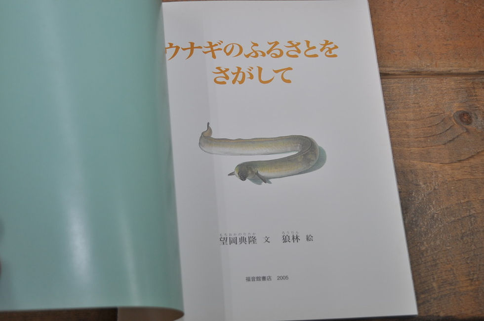 サムネイル： ウナギのふるさとをさがして,望岡 典隆, たくさんのふしぎ,こどものとも,福音館,古書,古本,千葉,佐倉,京成佐倉,アベイユブックス