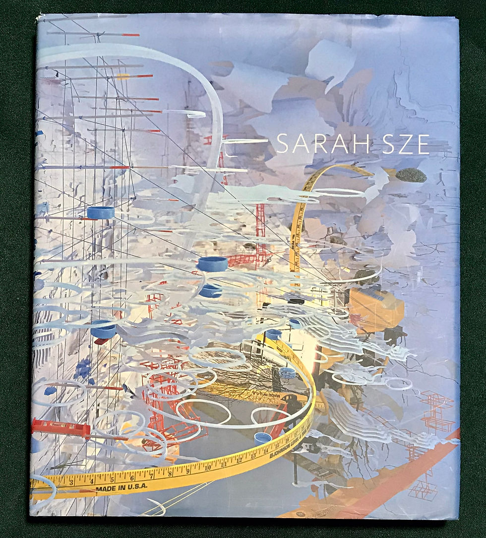 Sarah Sze, Linda Norden,Arthur C. Danto,0810993023,9780810993020,古書,古本,千葉,佐倉,アベイユ