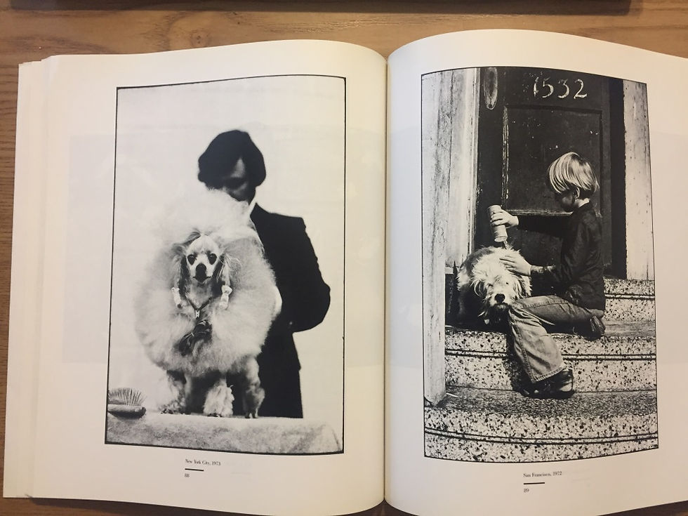 サムネイル： 我われは犬である[フレンド版]　エリオット・アーウィット 宝島社