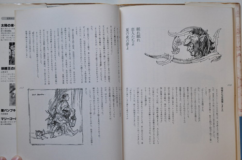 真夏の夜の夢 W.シェイクスピア:作/アーサー・ラッカム:絵 新書