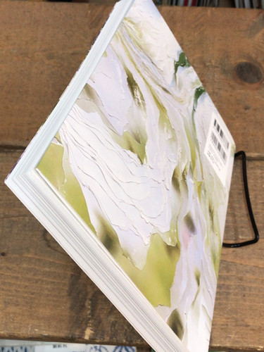 Nerhol 作品集 2007-2024 | abeille-books