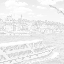 bosphorus_cruise_klein_shutterstock_1913292727_edited.jpg